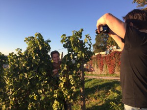 dreh_wein